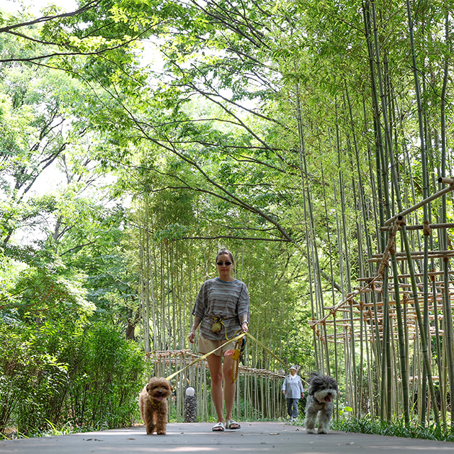 Namsan Korean Forest Garden