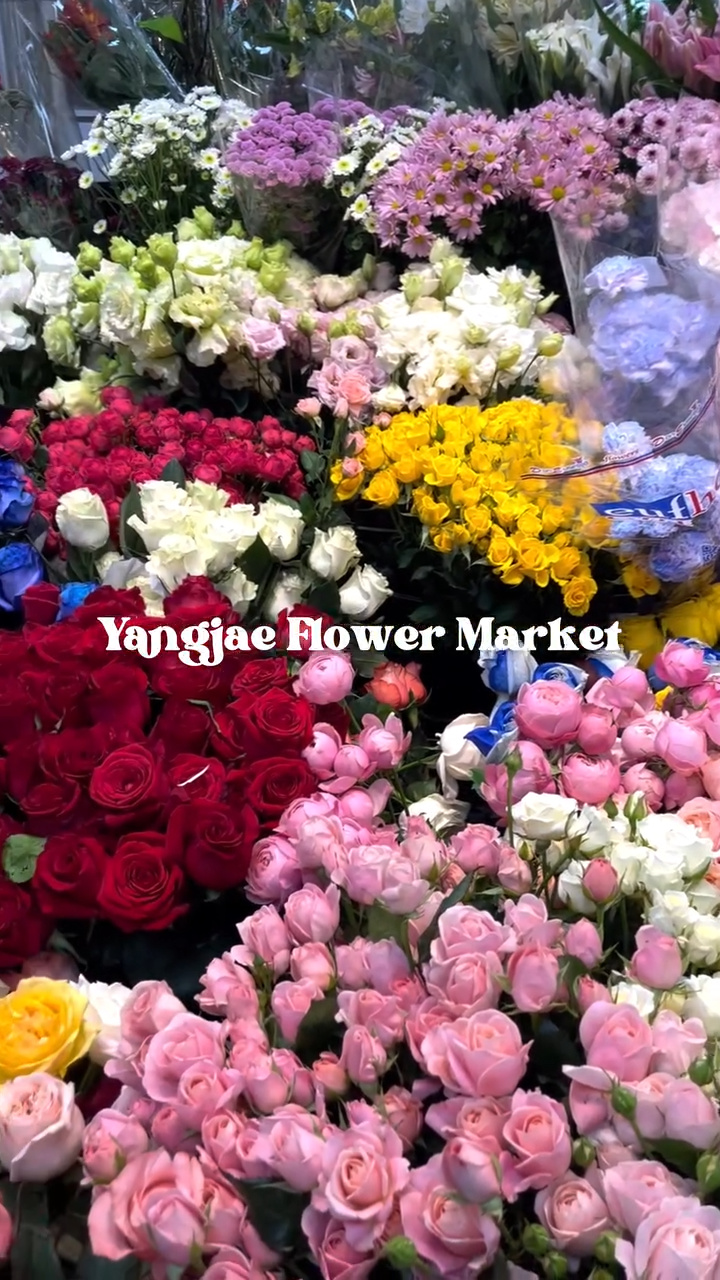 Yangjae Flower Market